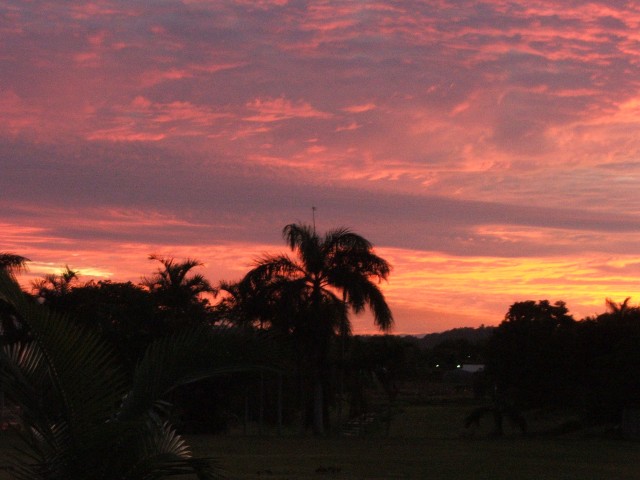 DSCF2167.jpg